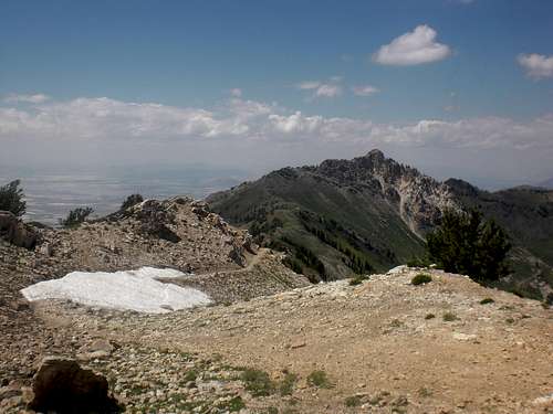 Willard Peak from Ben lomond