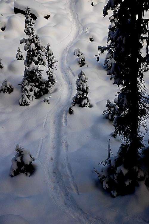 Snowy Trail in Kokanee Glacier Provincial Park