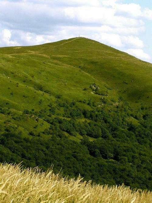 Mount Halicz ( 1333 m)
