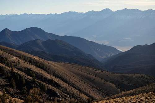 sierra crest from white mountains