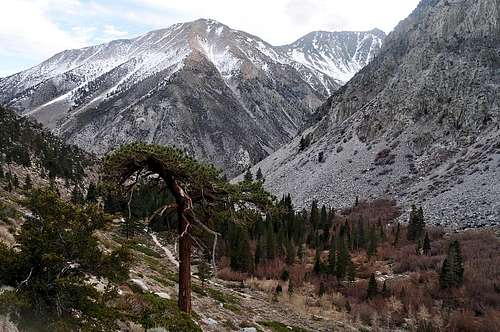 Big Pine Creek North Fork Hike