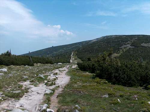 Trail near the Karkonosze pass (Przełęcz Karkonoska / Spindlerove Sedlo)