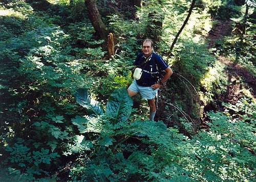 My dad somewhere on the trail...