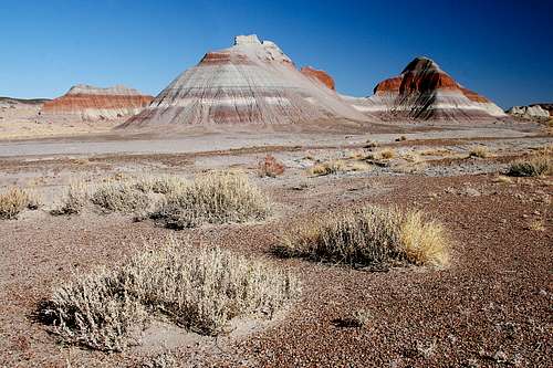 Tepees in Petrified Forest