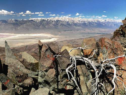 High Sierra from Inyo crest