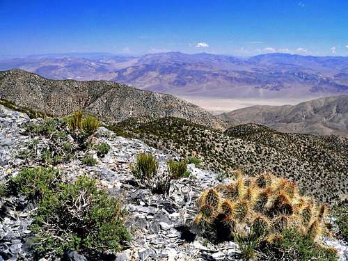 Saline Valley from Inyo crest