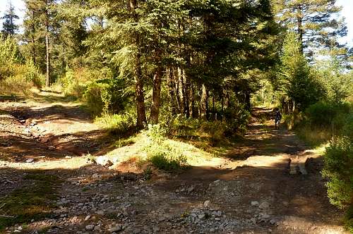 The trail right after passing Peñón Tlaxicho