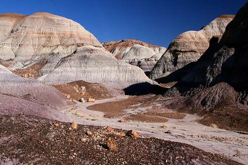 Blue Mesa Trail in Petrified Forest (4 of 4)