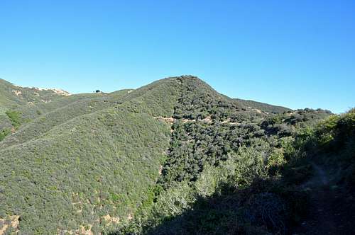 Cold Springs Canyon Trail