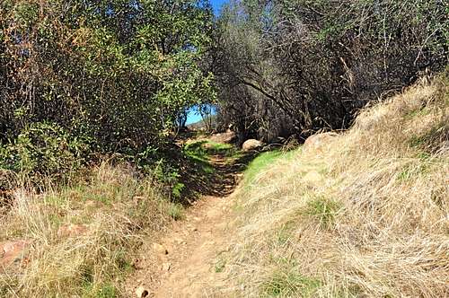 Cold Springs Canyon Trail