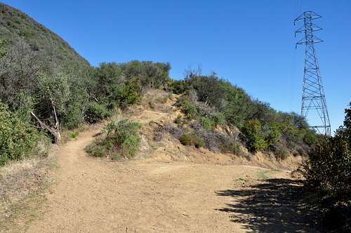 Cold Springs Canyon Trail