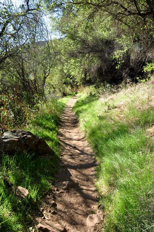 Cold Springs Canyon Trail