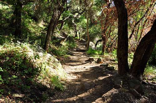 Cold Springs Canyon Trail