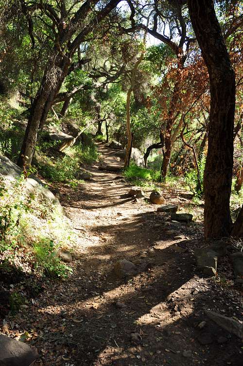 Section of the trail