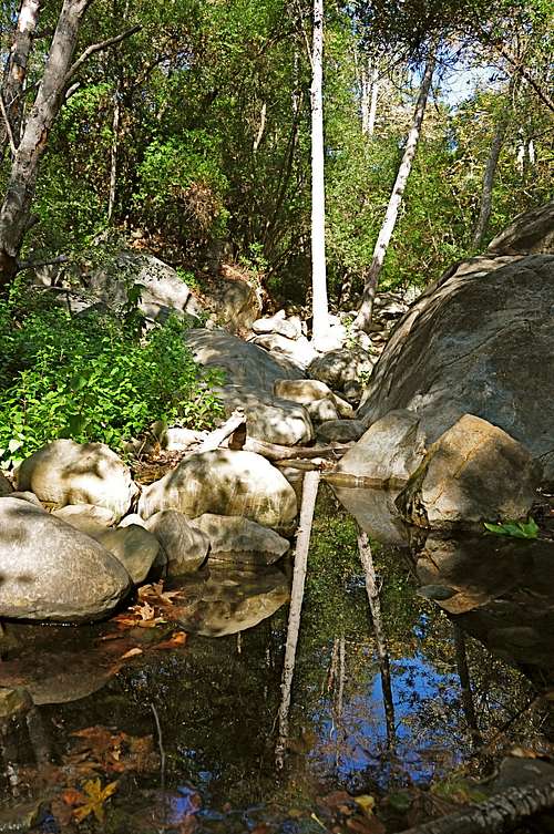 Swimming Hole