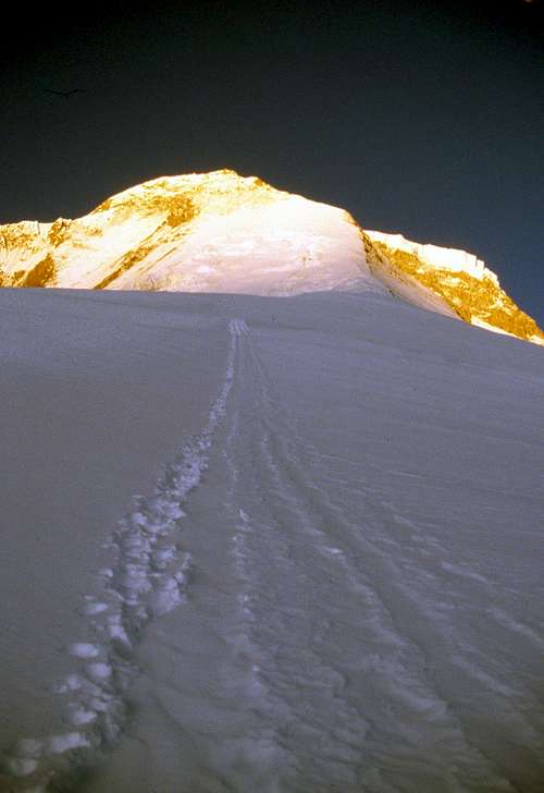 Early morning on the ridge