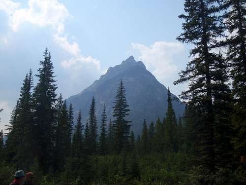 View of Mt Peveril from the Tonquin Valley