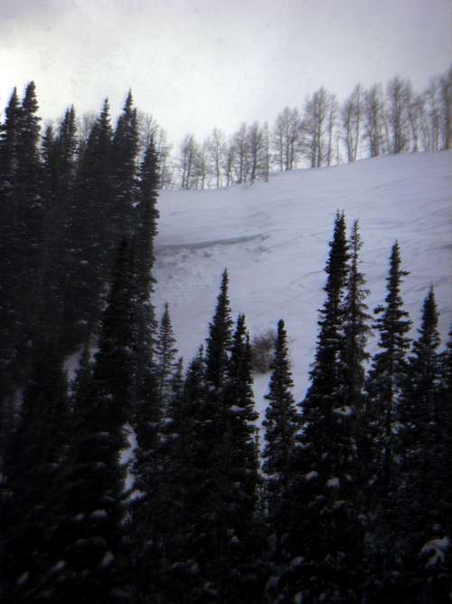 Avalanche in North Willow (Willow Fork)