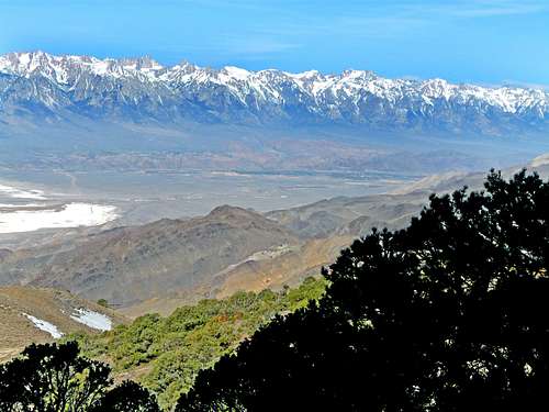 High Sierra from Cerro Gordo area