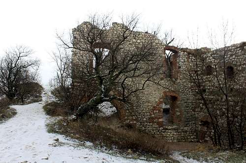 Palava - castle ruins