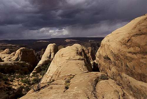 Desert Rock 