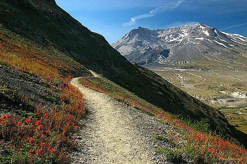 Johnston Ridge Trail and Mt. St. Helens