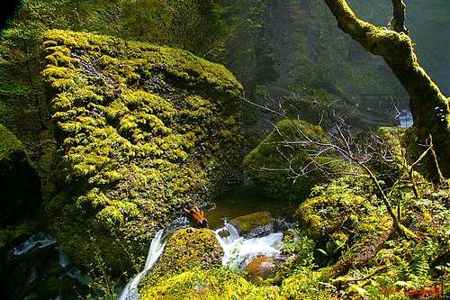 Elowah Falls Trail, Columbia River Gorge, Oregon