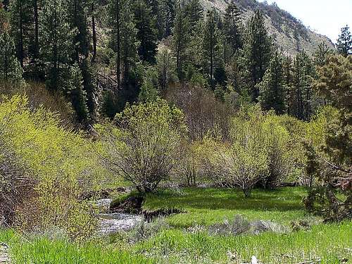 Lower Kelly Creek