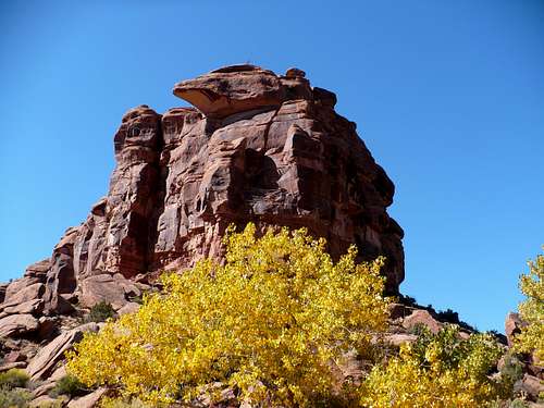 Big Dominguez Canyon Fall