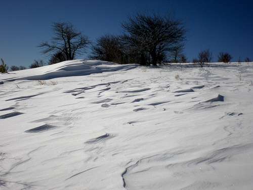Wind dunes of snow...