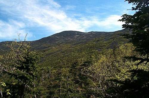 View of Mt. Washington from...