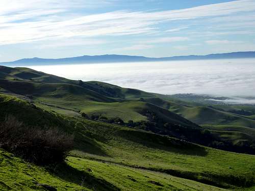 Santa Clara Valley in the Fog