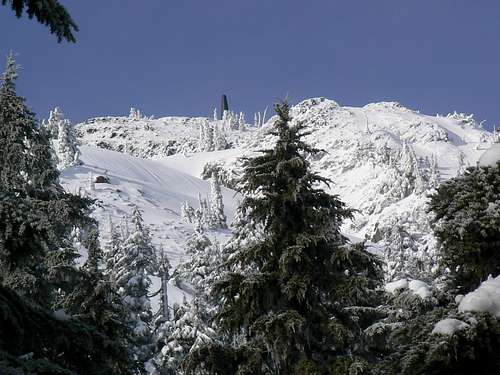 Mt Whymper Summit in Winter 