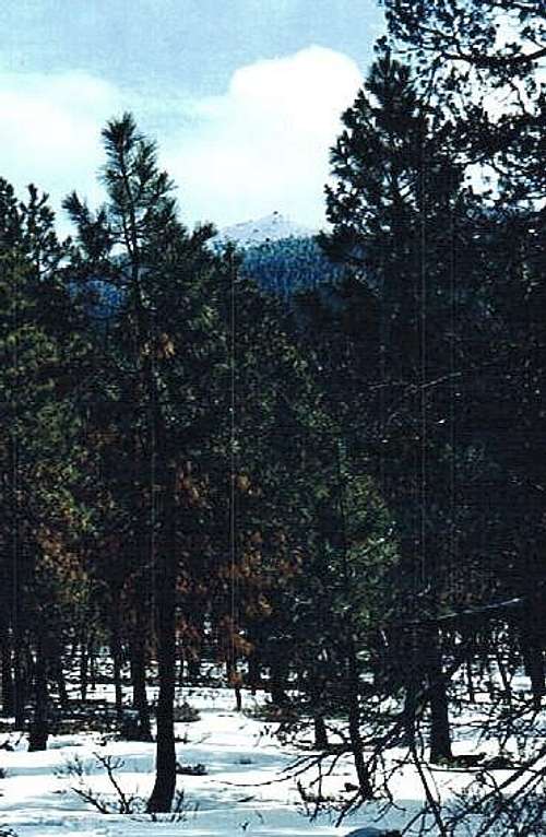 View of the Summit from the...