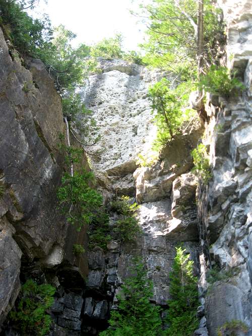 2009 Bruce Trail