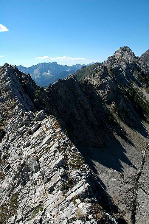 Mount Fernie Summit Ridge