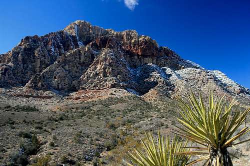 Bridge Mtn