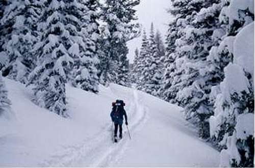 Tilly Jane Ski Trail