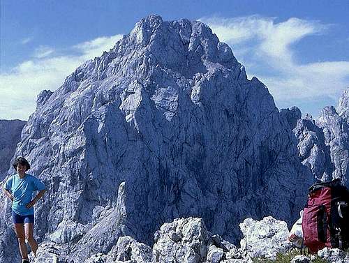 Ojstrica summit from...