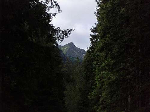 Opalony from route to Morskie Oko