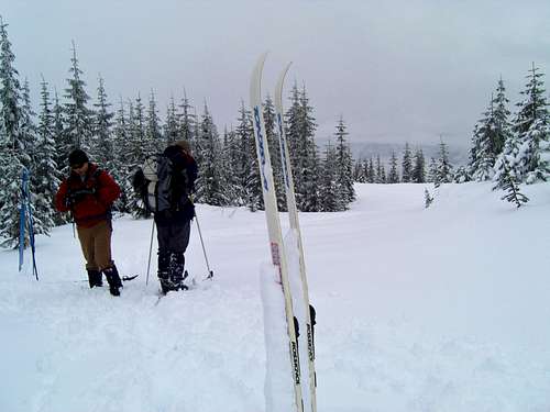 Wintry Ski Tour