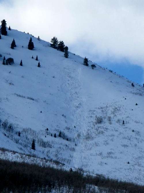 Avalanche on Mt Aire