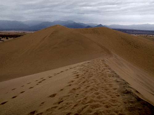 The Highest Dune