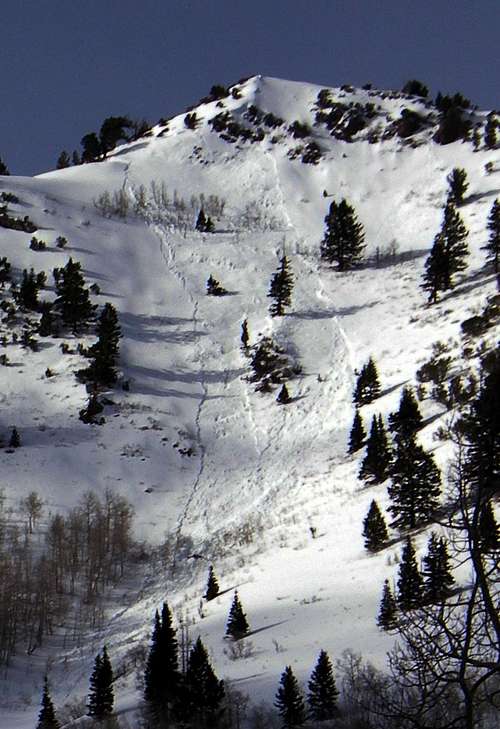 Avalanche on Gobblers Knob