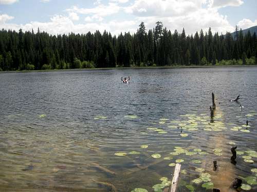 Spotted Bear Lake