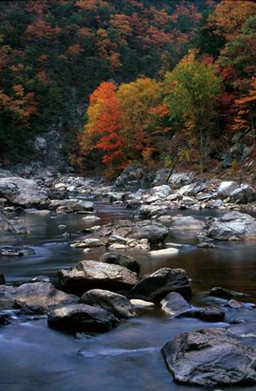 Watauga River Gorge Fall Color
