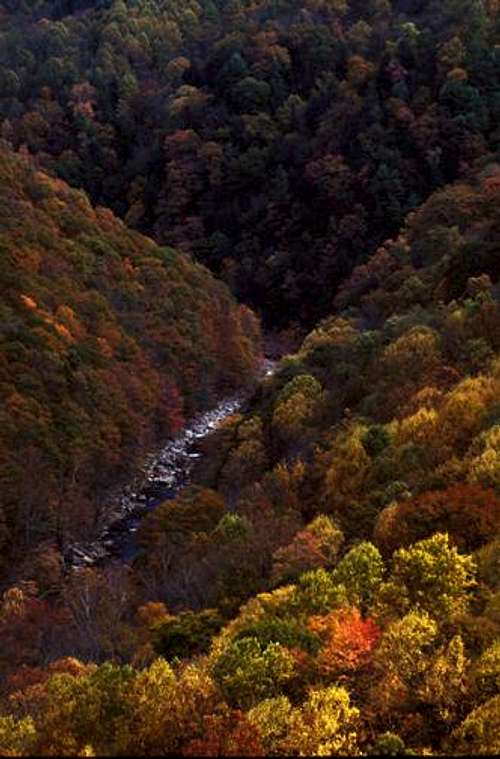Watauga River Gorge From Above