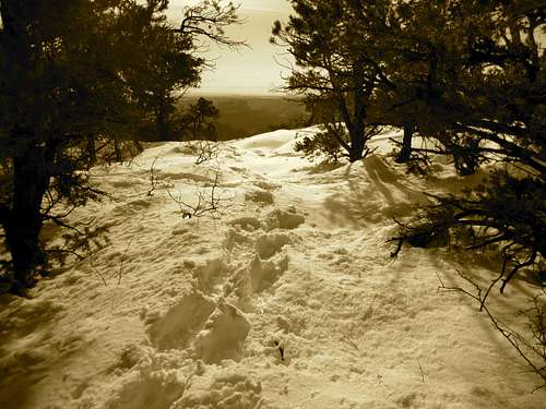 Winter Attempt on the Nankoweap Trail