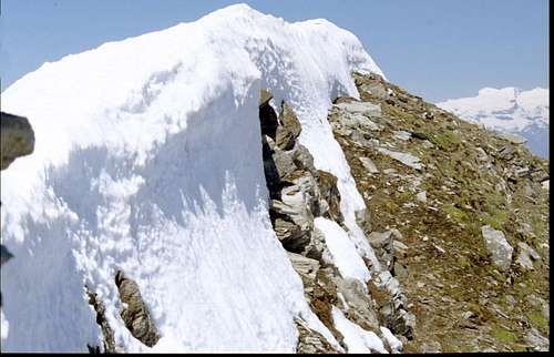 Mount Delà in the  Summit Summit's  