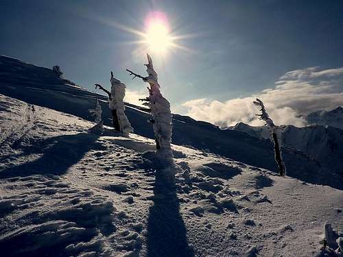 Walking in the snowy Val d'Aran